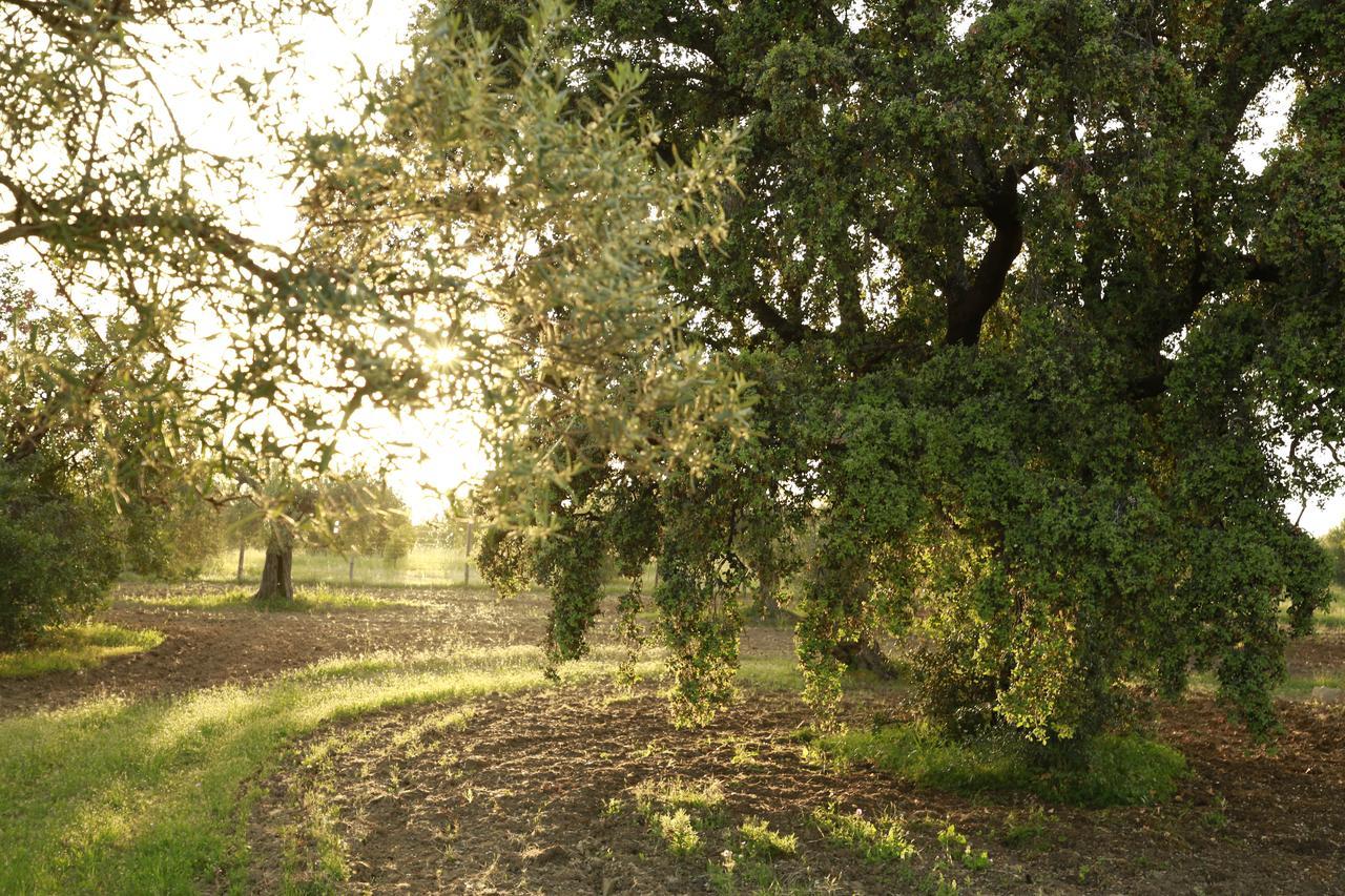 Fazenda Nova Country House Tavira Luaran gambar
